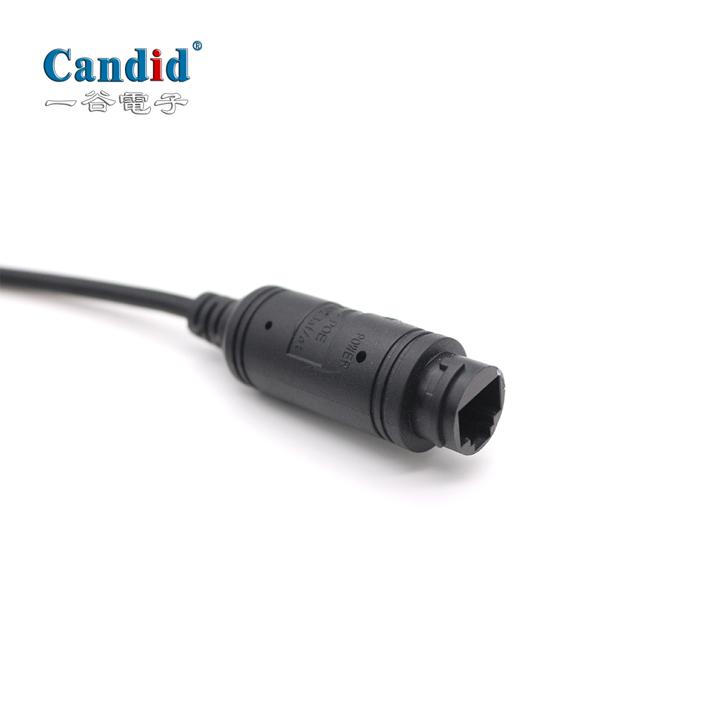 4 Million Pixels IP Network Camera CA-9880