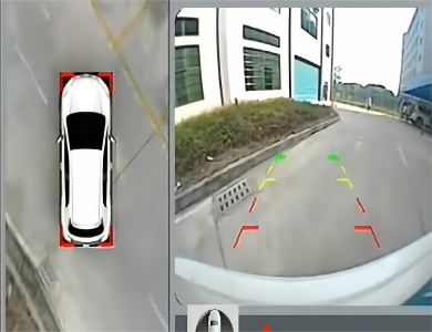 AVM rear view effect