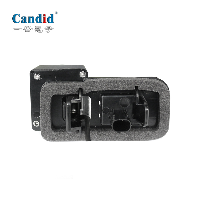 Car camera LC200